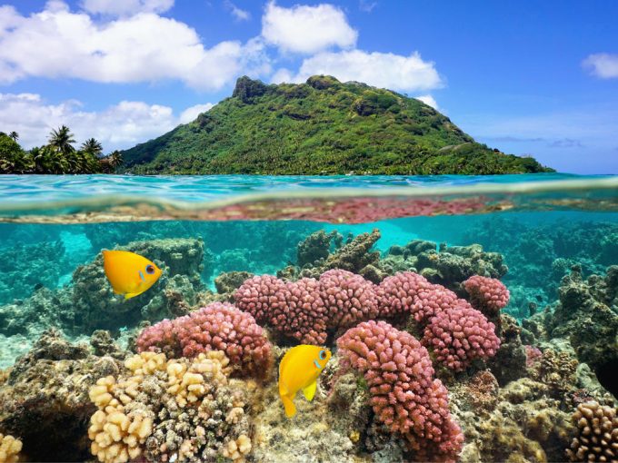 Ile de Huahine Polynésie Française FPSIR
