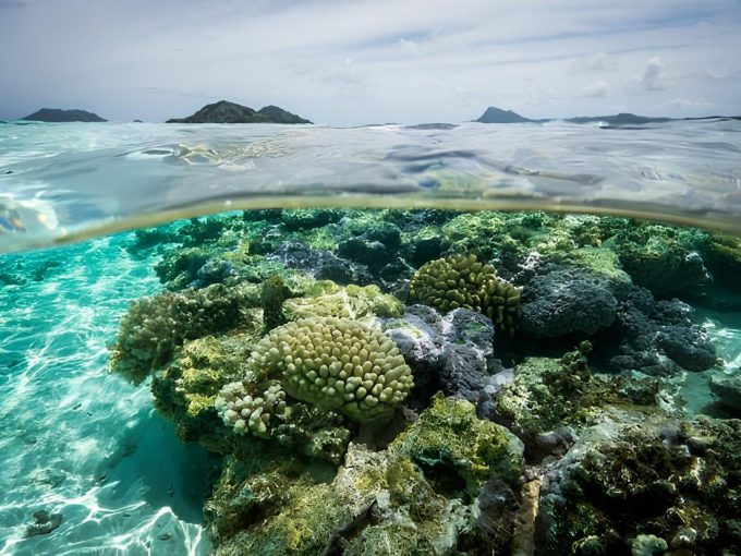 Archipel des Gambiers Polynésie Française - immo - FPSIR