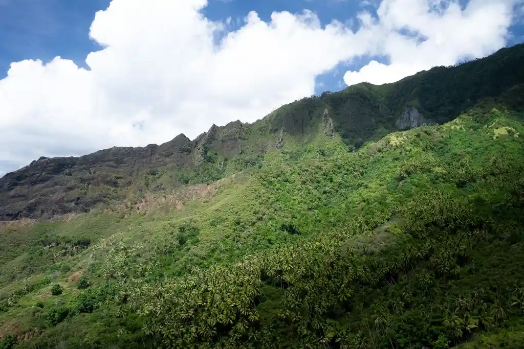 ME4-1239-01_Bien-Immobilier