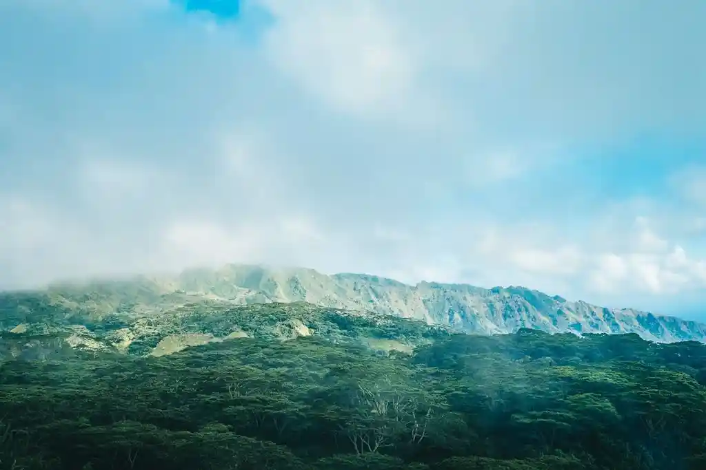 ME4-1239-02_Bien-Immobilier