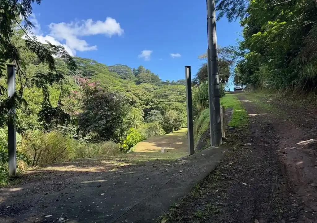 ME4-1934-11_Bien-Immobilier