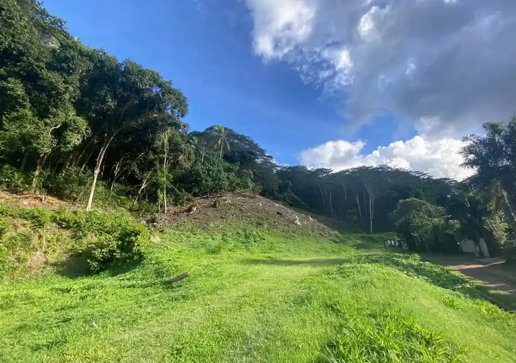 ME4-1901-05_Bien-Immobilier