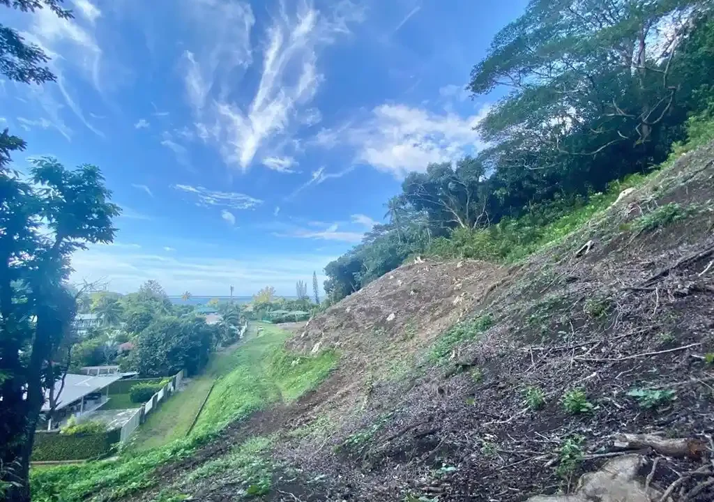 ME4-1902-01_Bien-Immobilier