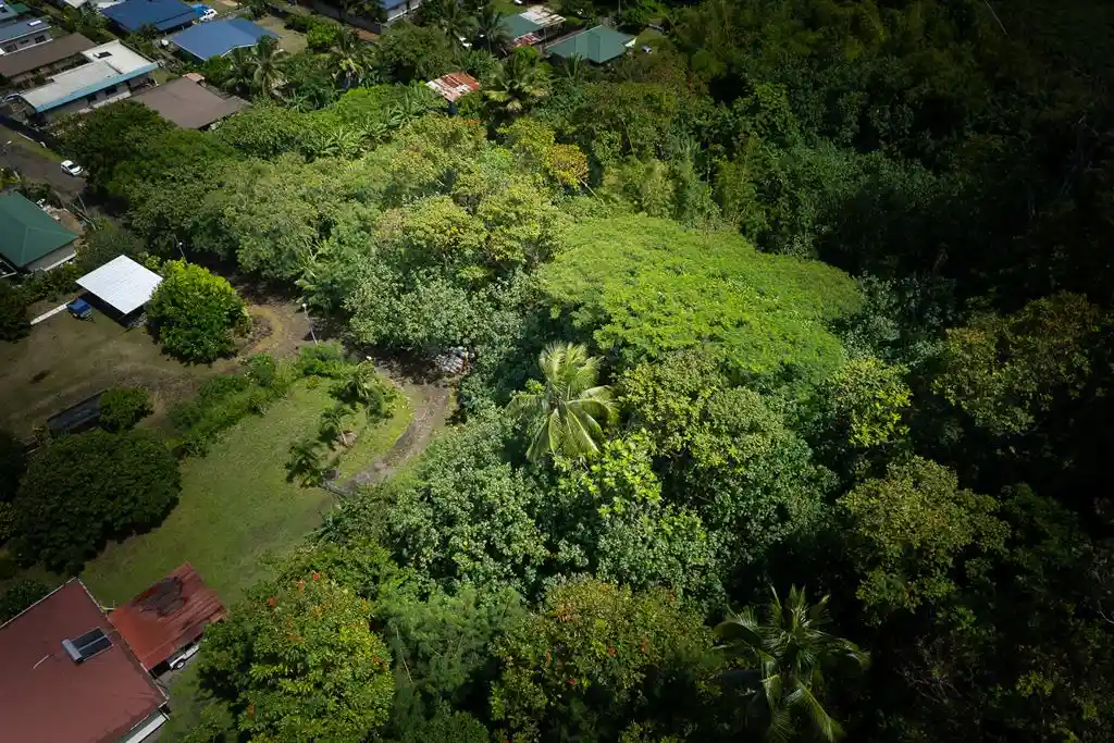 ME4-1919-00_Bien-Immobilier