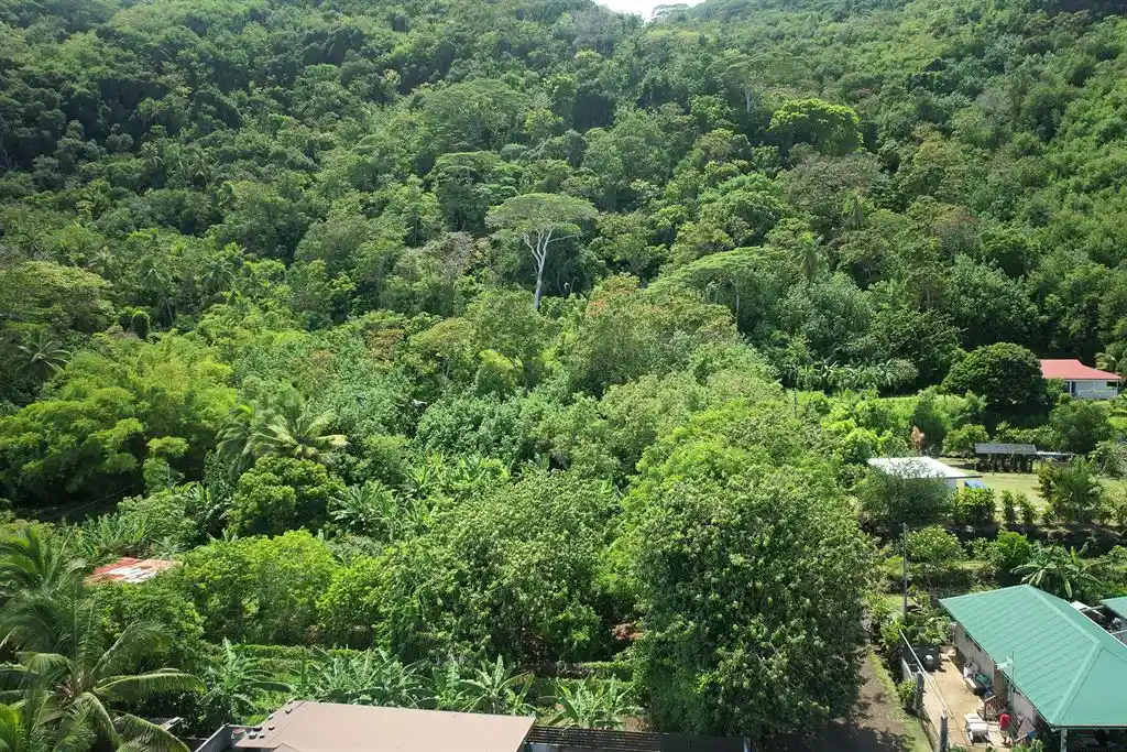 ME4-1919-01_Bien-Immobilier