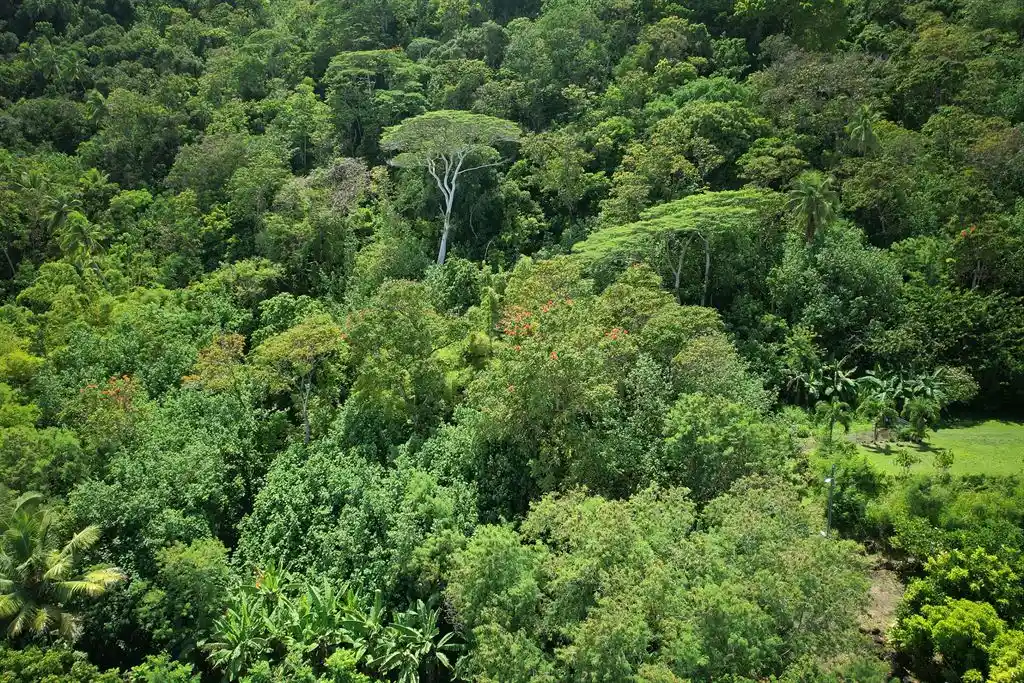 ME4-1919-02_Bien-Immobilier