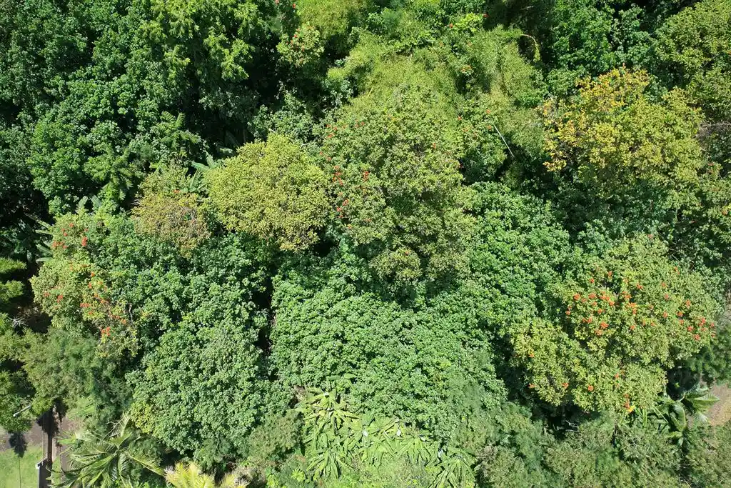 ME4-1919-03_Bien-Immobilier