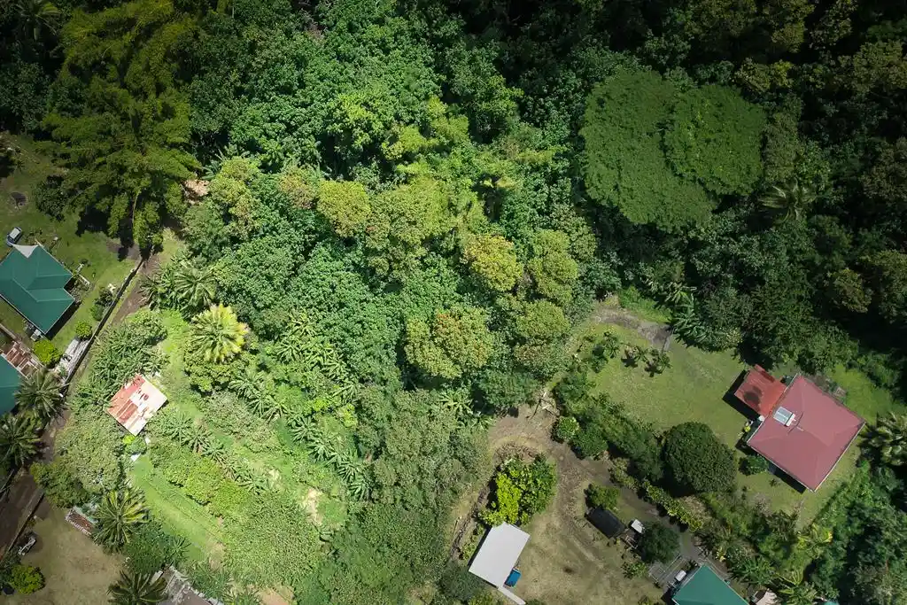 ME4-1919-04_Bien-Immobilier