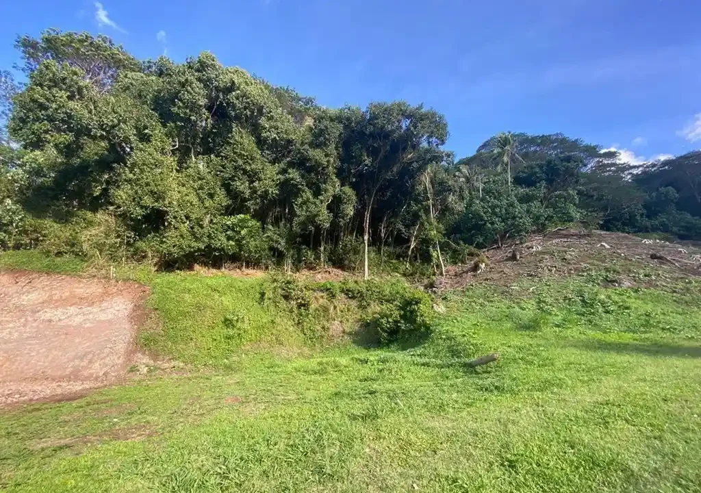 ME4-1927-00_Bien-Immobilier