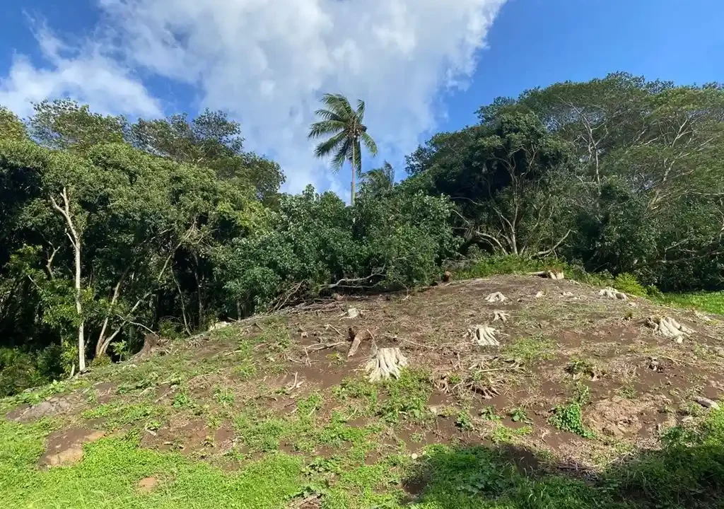 ME4-1927-02_Bien-Immobilier