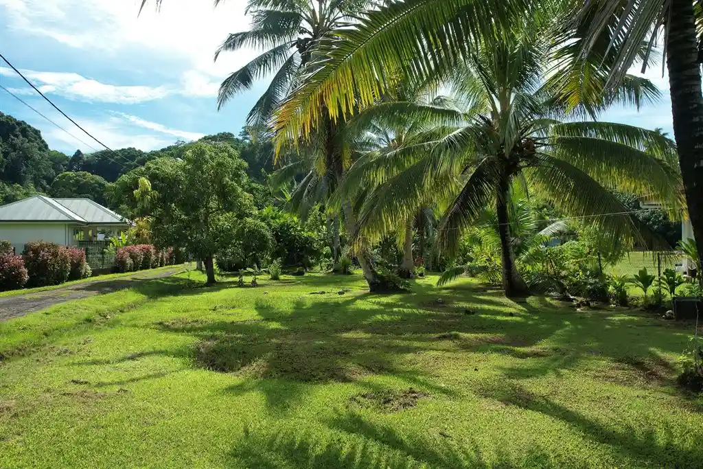 ME4-1161-00_Bien-Immobilier