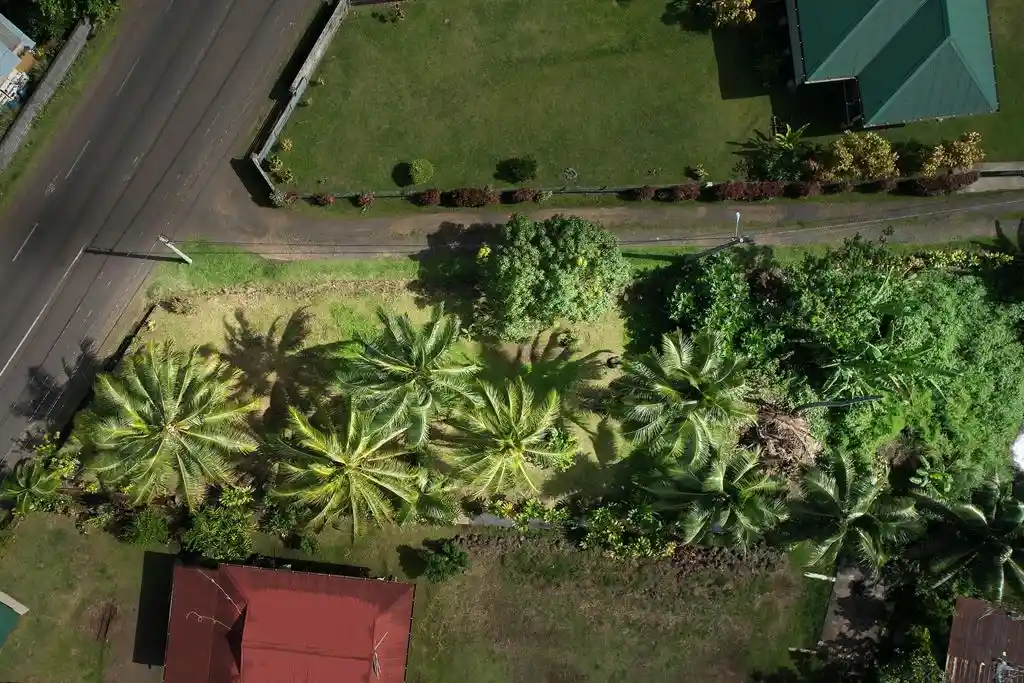 ME4-1161-01_Bien-Immobilier