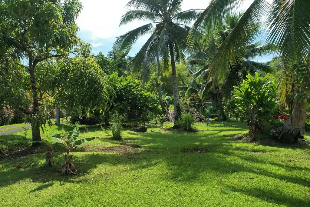 ME4-1161-03_Bien-Immobilier