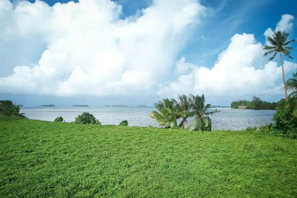 ME4-1859-05_Bien-Immobilier