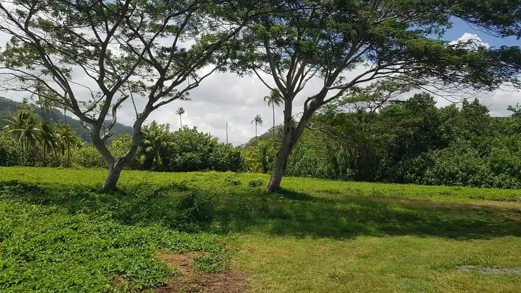 ME4-1859-09_Bien-Immobilier