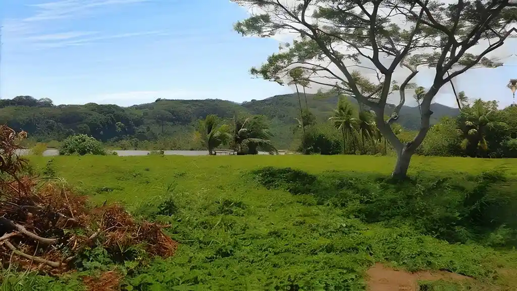 ME4-1859-10_Bien-Immobilier