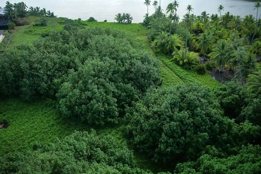 ME4-1859-11_Bien-Immobilier