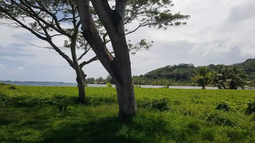 ME4-1859-12_Bien-Immobilier