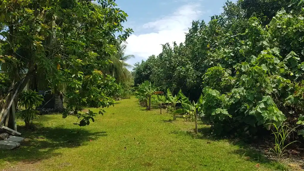 ME4-1859-13_Bien-Immobilier