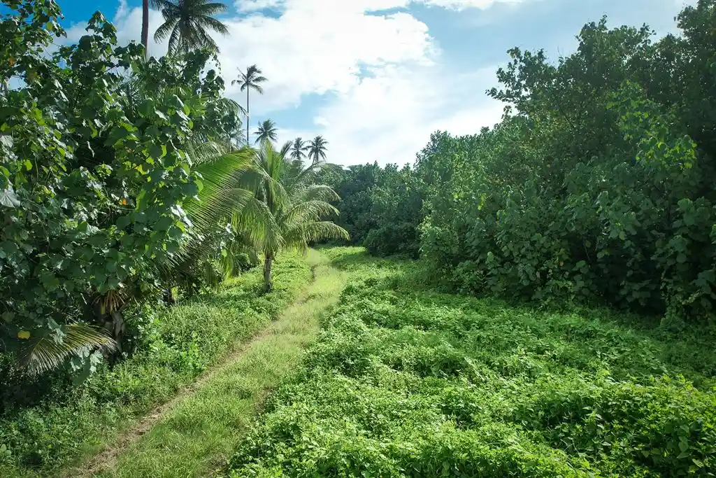 ME4-1859-15_Bien-Immobilier