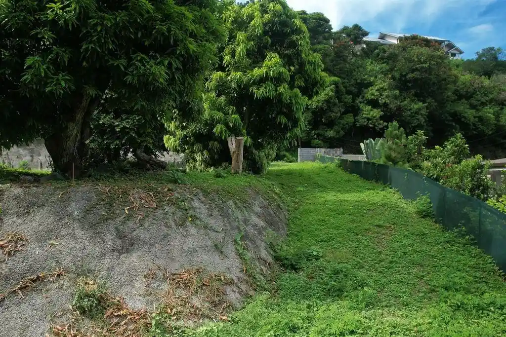 ME4-1906-02_Bien-Immobilier