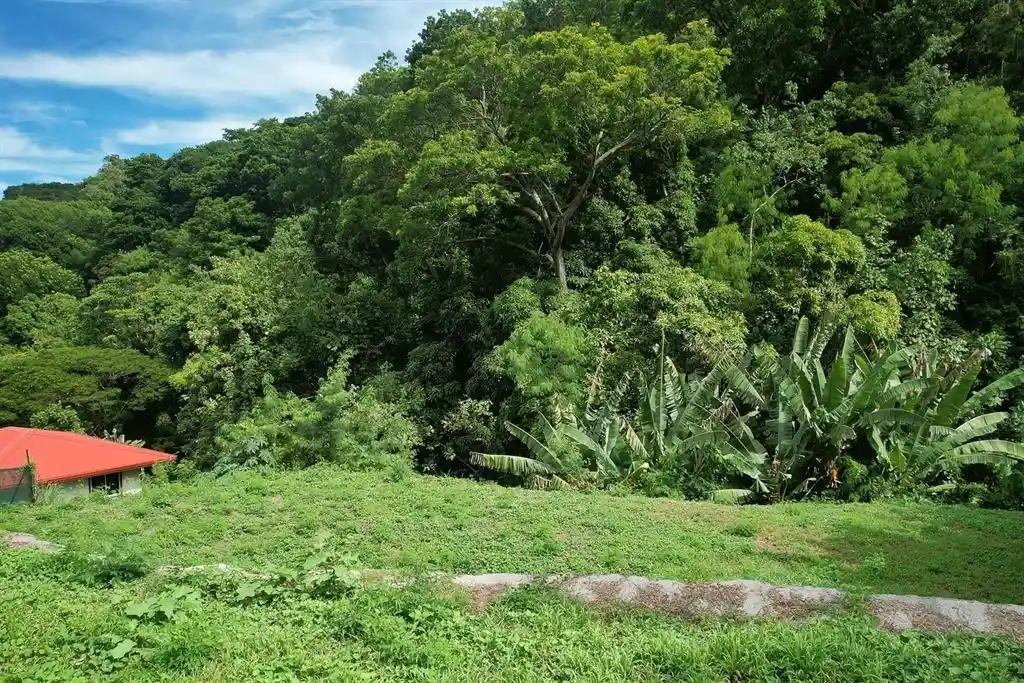 ME4-1906-05_Bien-Immobilier