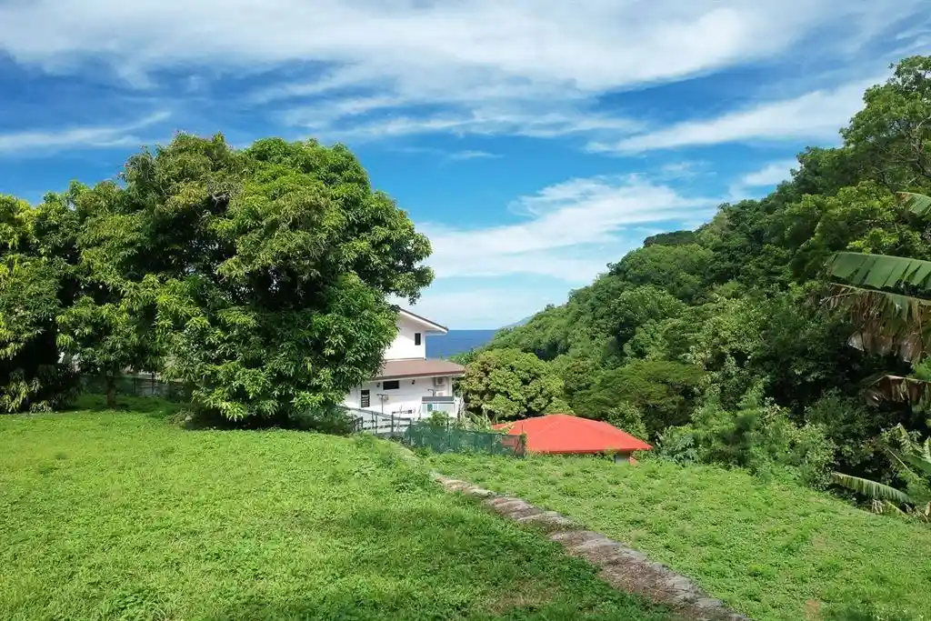 ME4-1906-06_Bien-Immobilier