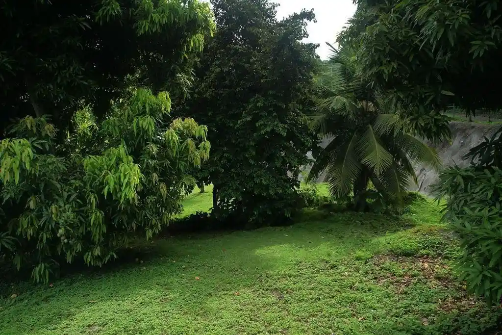 ME4-1906-09_Bien-Immobilier