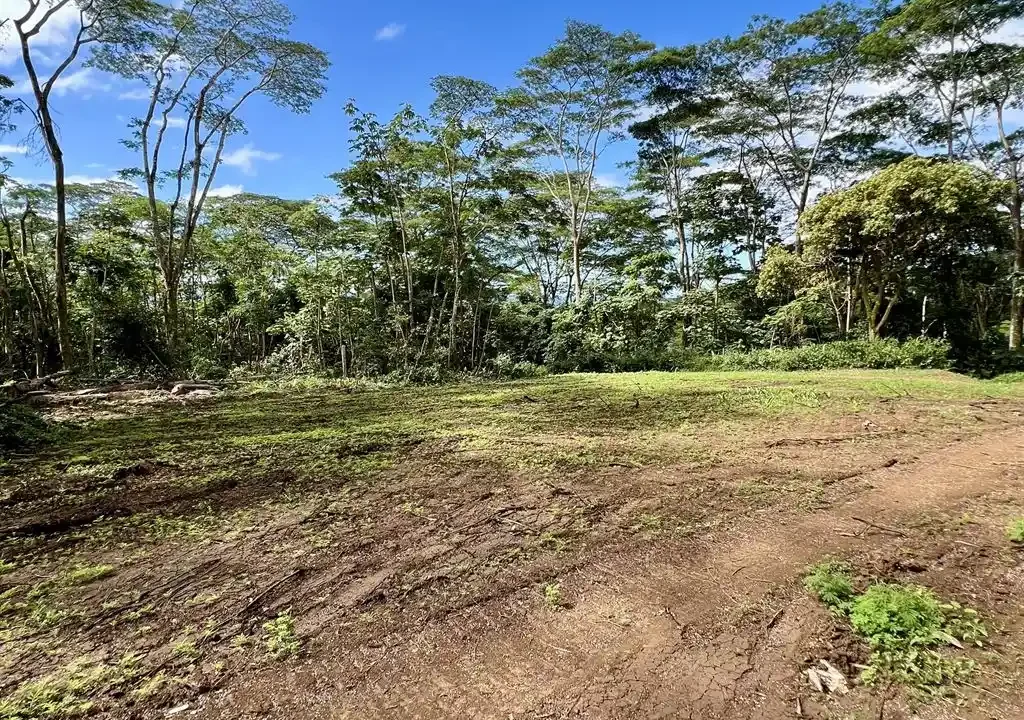 ME4-2000-00_Bien-Immobilier