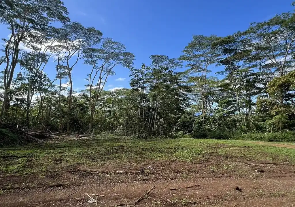 ME4-2000-01_Bien-Immobilier