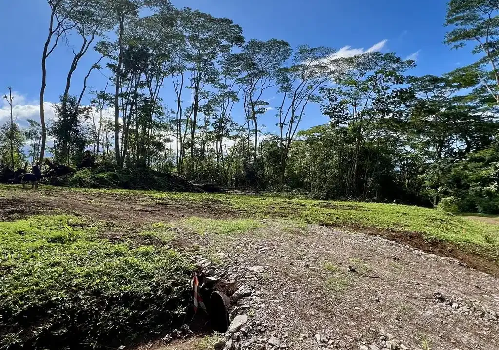 ME4-2000-02_Bien-Immobilier