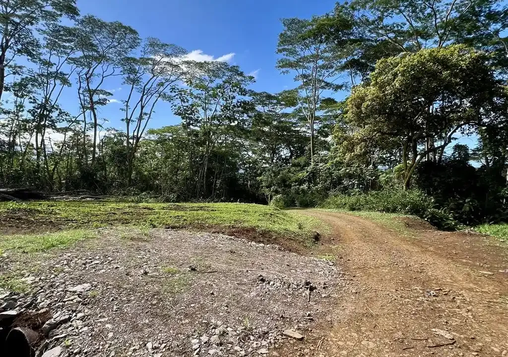 ME4-2000-03_Bien-Immobilier