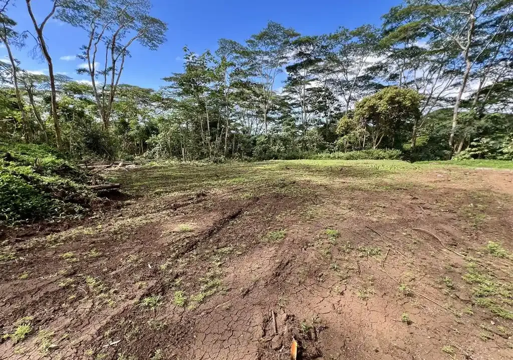 ME4-2000-04_Bien-Immobilier