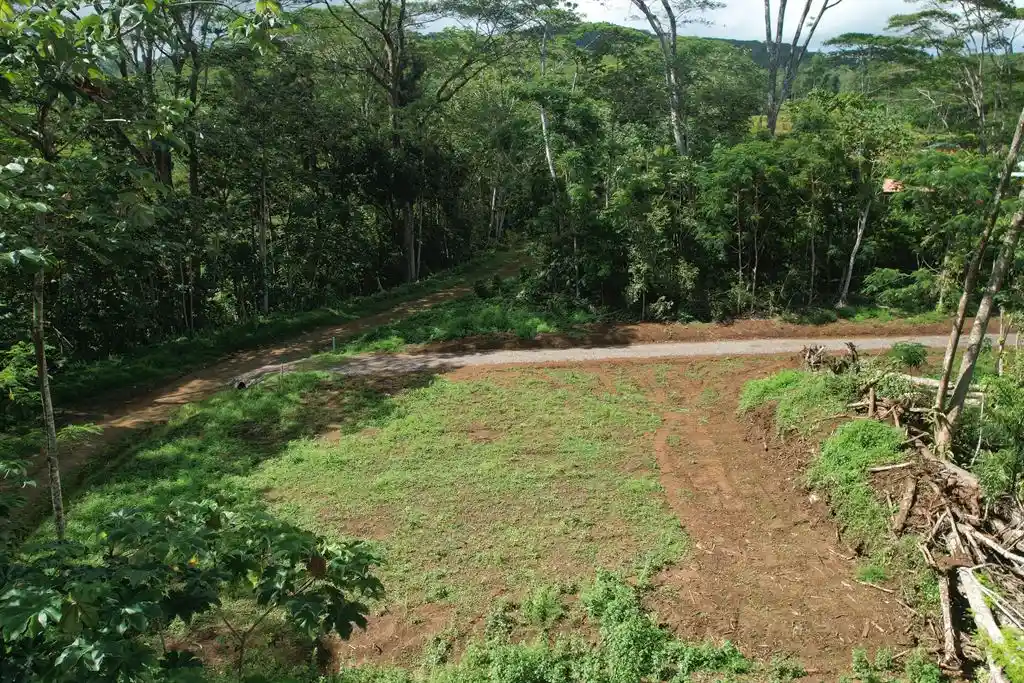 ME4-2000-05_Bien-Immobilier