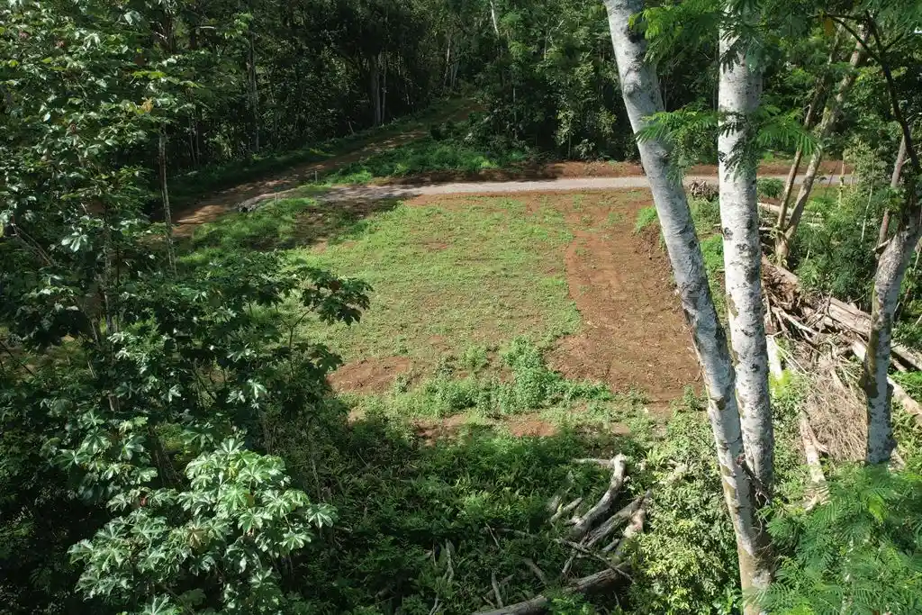 ME4-2000-06_Bien-Immobilier