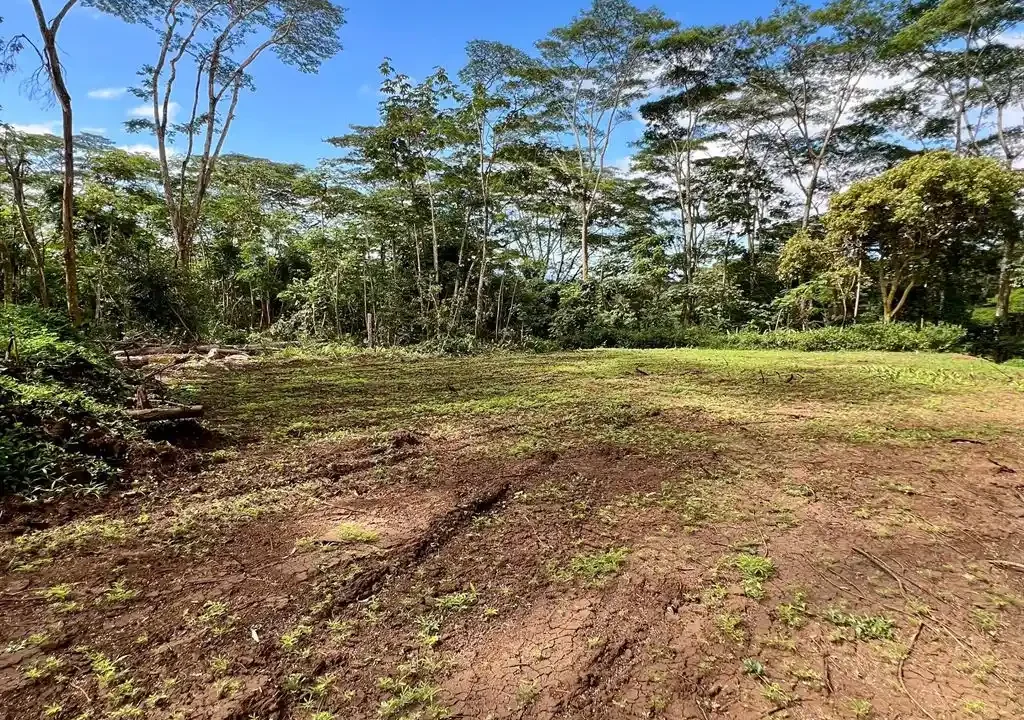 ME4-2000-08_Bien-Immobilier