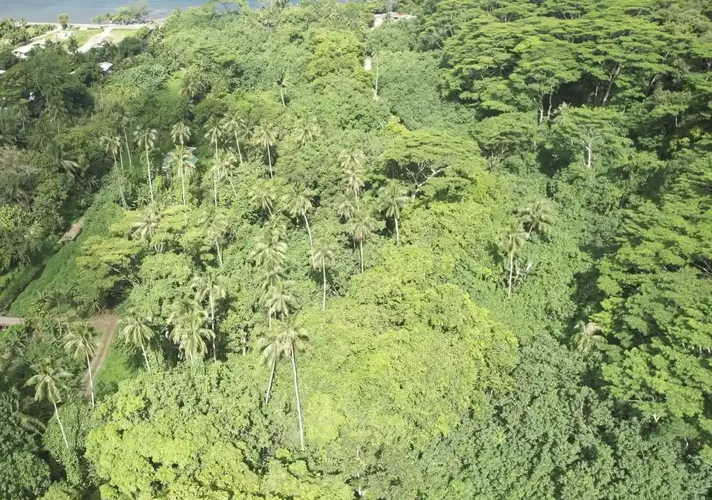 ME4-2029-01_Bien-Immobilier