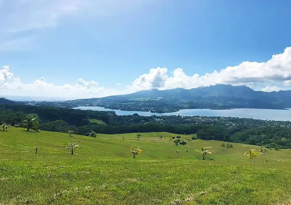 ME4-816-13_Bien-Immobilier