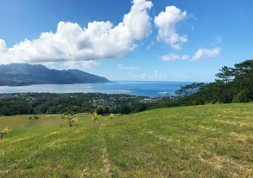 ME4-816-14_Bien-Immobilier