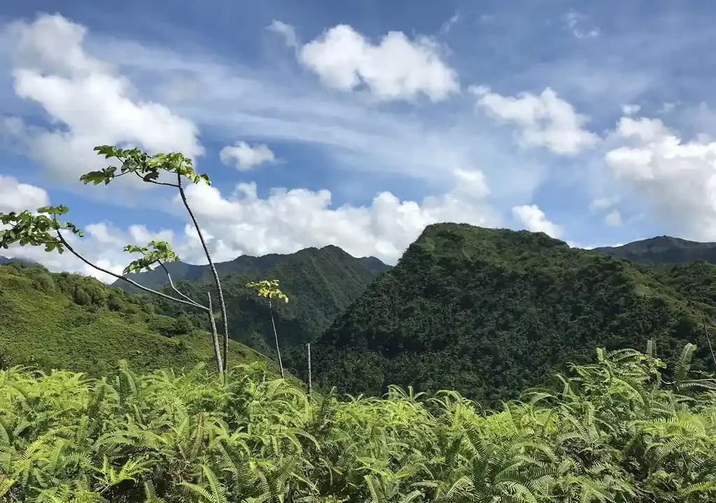 ME4-816-15_Bien-Immobilier