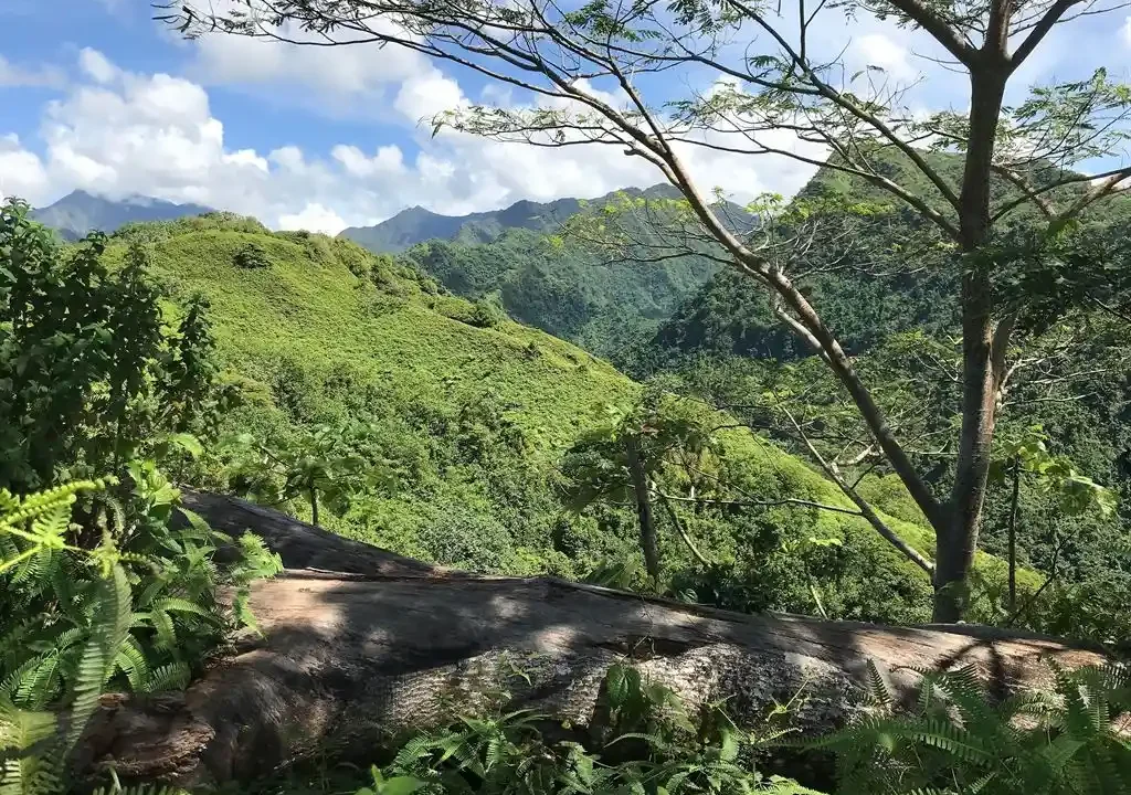 ME4-816-16_Bien-Immobilier