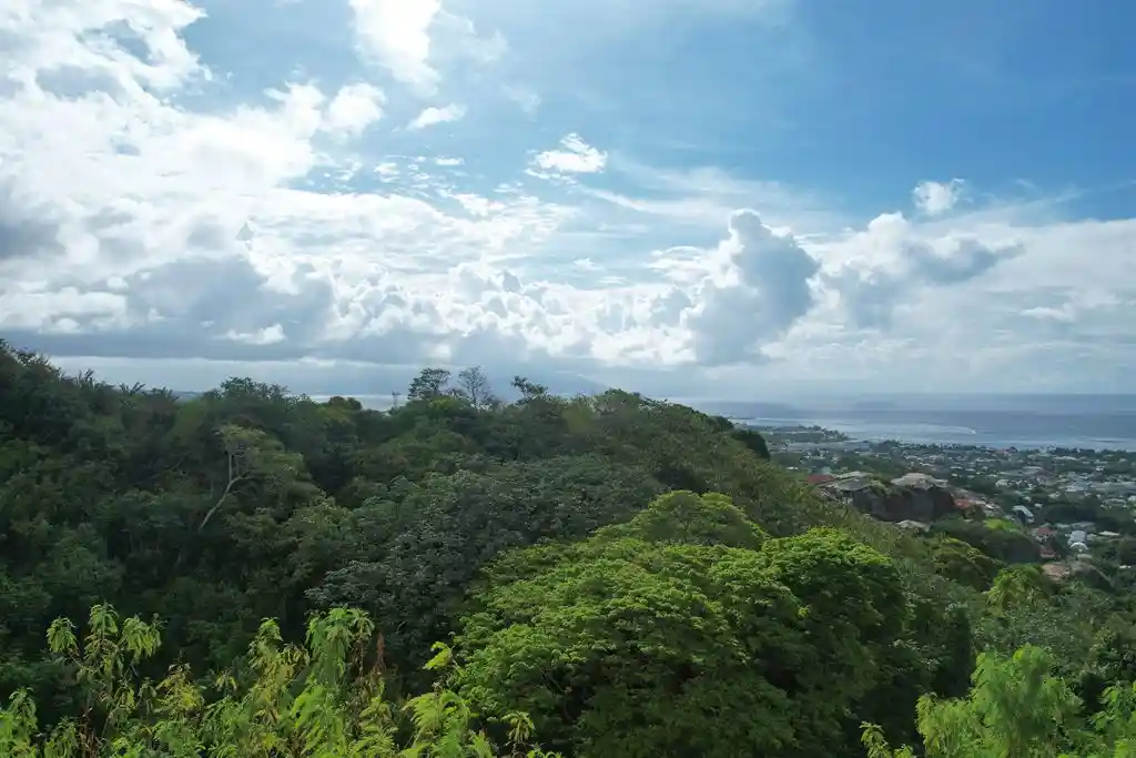 ME4-1959-01_Bien-Immobilier