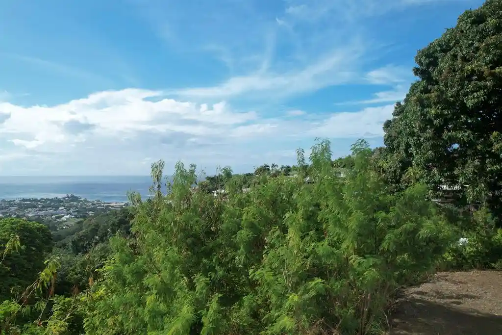 ME4-1959-02_Bien-Immobilier