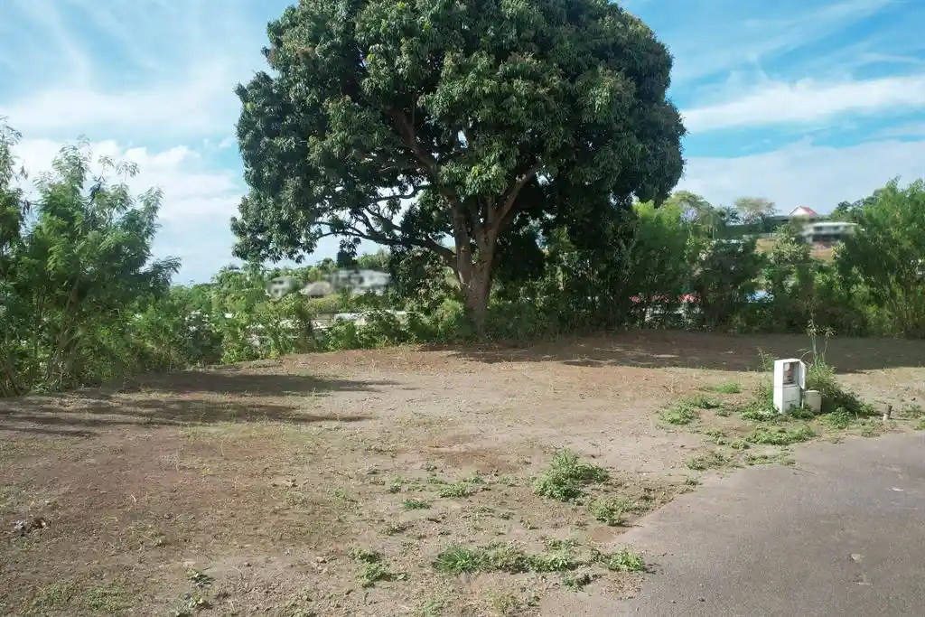 ME4-1959-03_Bien-Immobilier