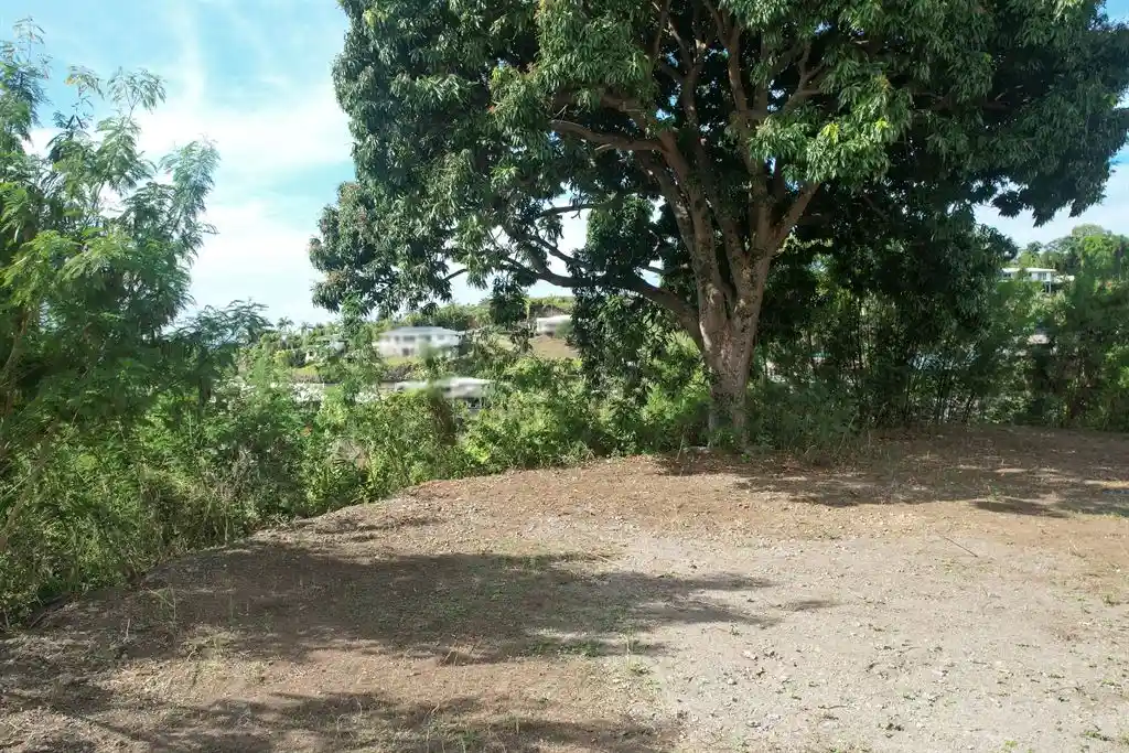 ME4-1959-05_Bien-Immobilier