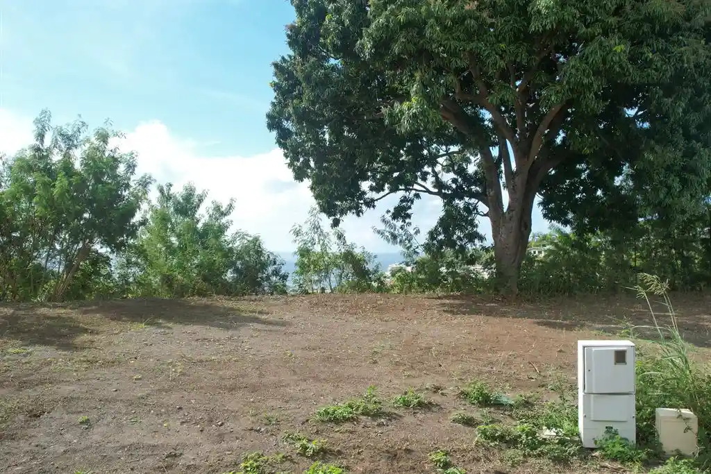 ME4-1959-06_Bien-Immobilier