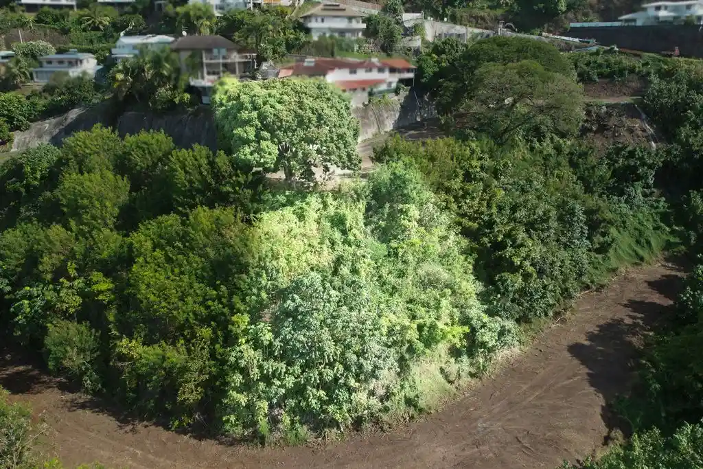 ME4-1959-07_Bien-Immobilier