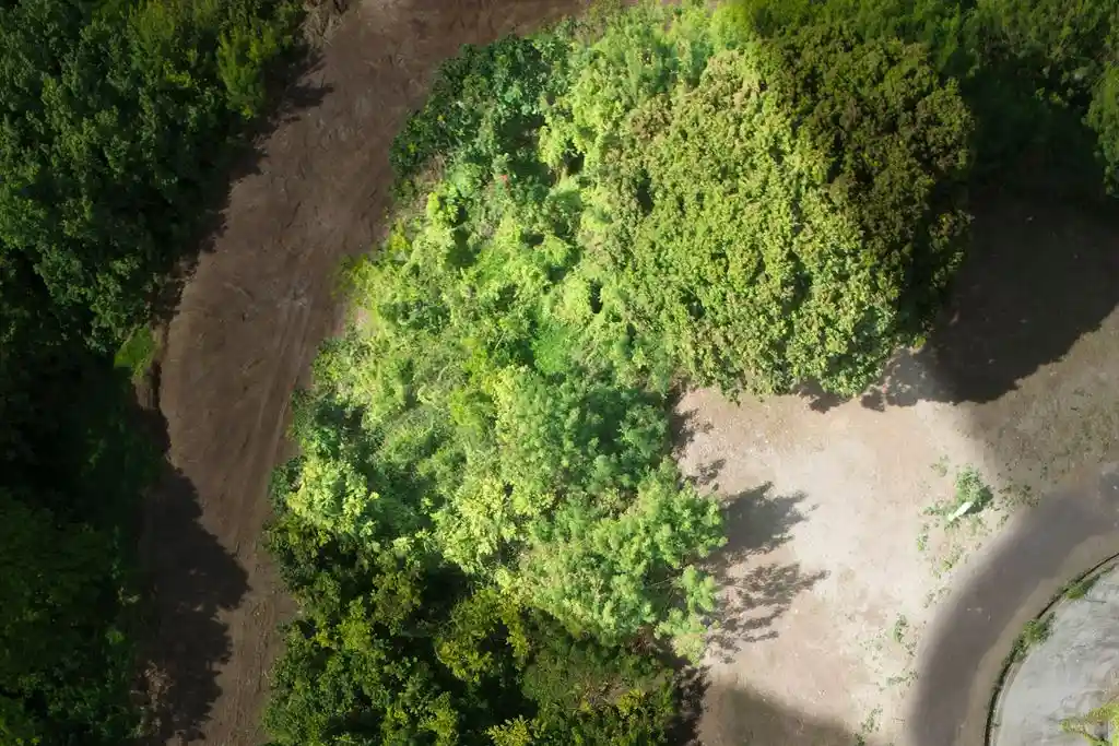 ME4-1959-08_Bien-Immobilier