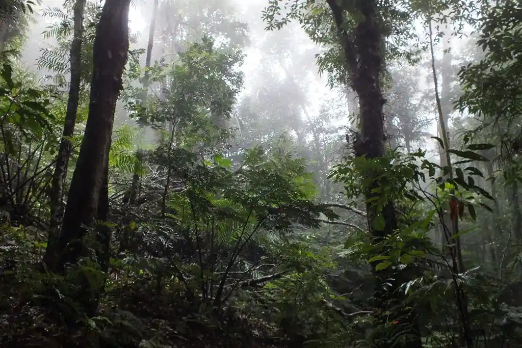 ME4-1993-09_Bien-Immobilier