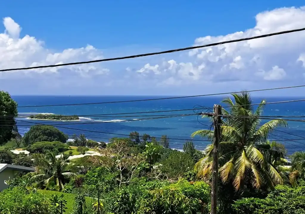 ME4-2036-01_Bien-Immobilier